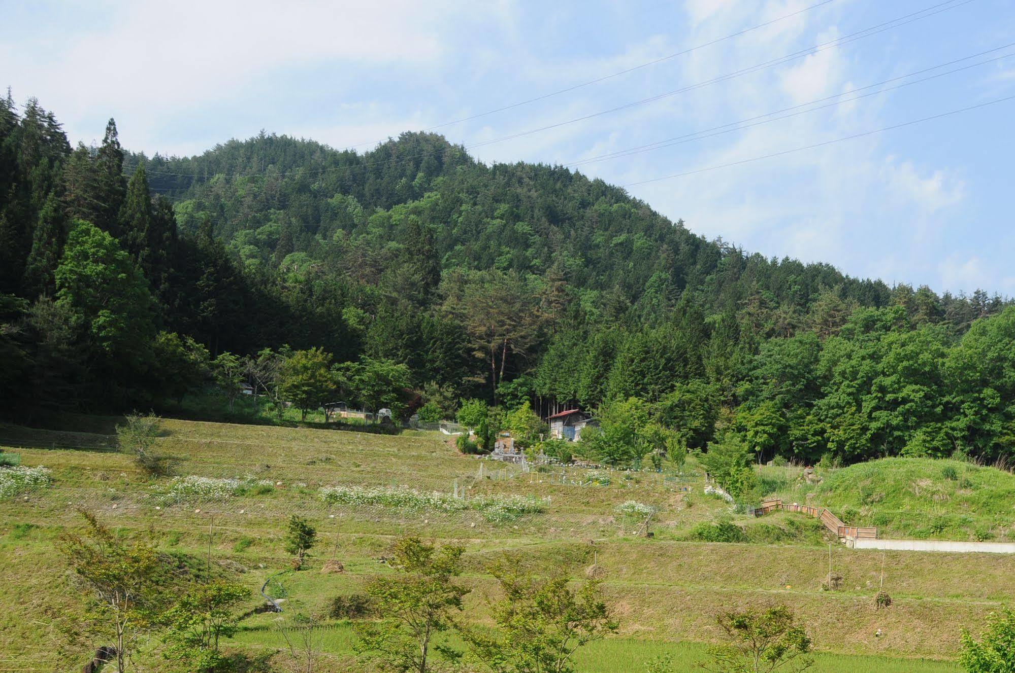 高山 樱花宾馆旅舍 外观 照片